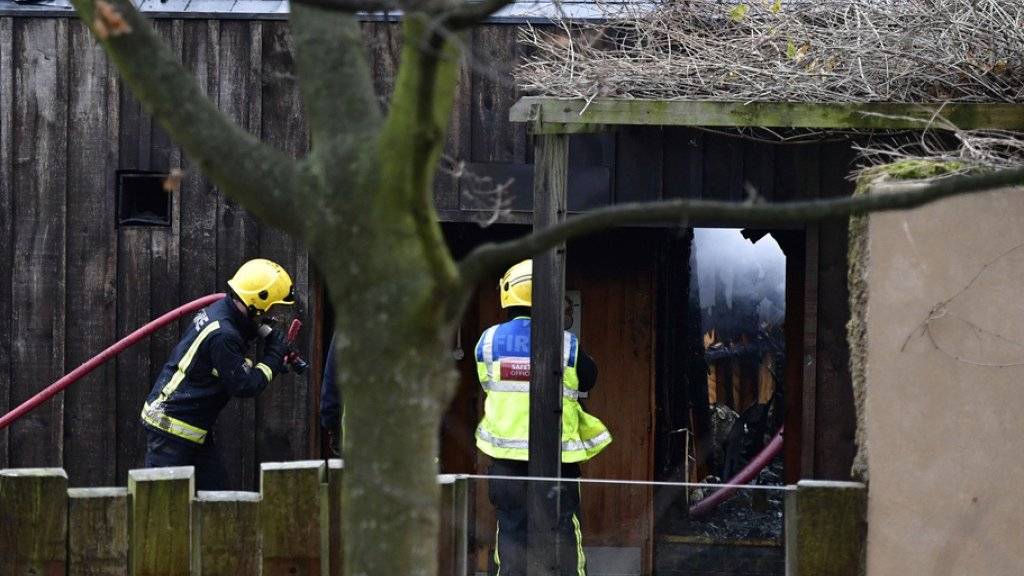 Im Zoo von London ist am Samstag ein Feuer ausgebrochen. Nach rund drei Stunden war das Feuer nahe des Streichelzoos gelöscht. Mehrere Angestellte des Tierparks erlitten Rauchvergiftungen und einen Schock, ein Erdferkel wurde nach dem Ende der Löscharbeiten vermisst.