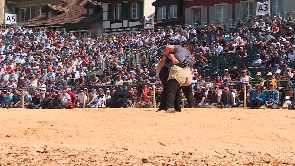 Premiere in Zofingen: Erstes Schwingfest in einer Altstadt