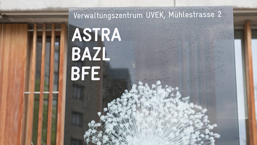 Das Logo des Bundesamtes fuer Zivilluftfahrt BAZ in Ittigen. (Archivbild)