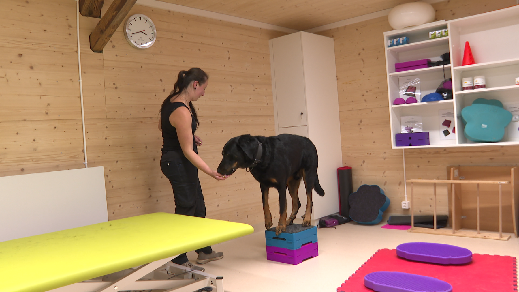 Hundewellness