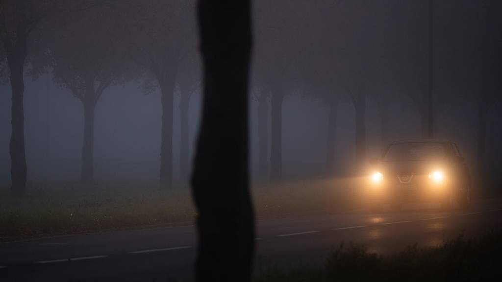 Nebel und Auto
