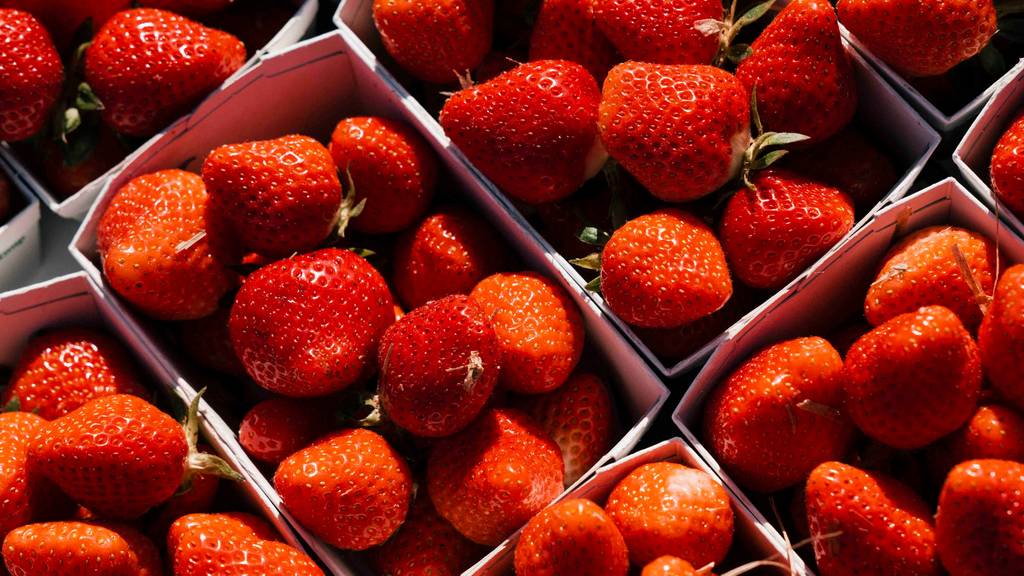 Schweizer Erdbeeren sind reif und schmecken dieses Jahr besonders gut