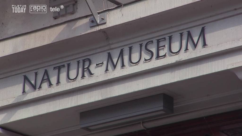 Das sind die Ideen für das neue Museum – Standort weiterhin unklar
