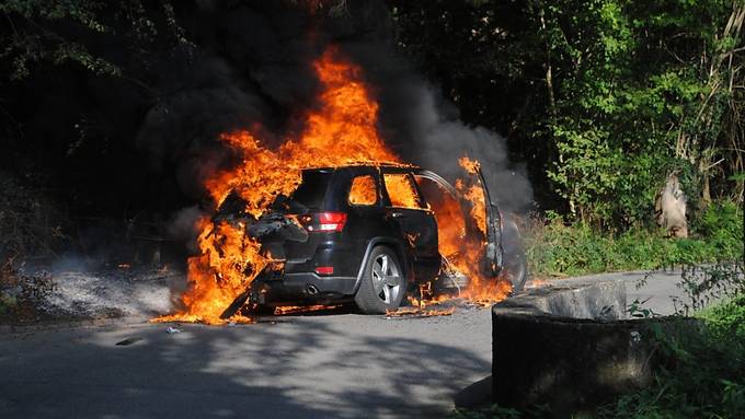 Fahrzeug brennt vollkommen aus