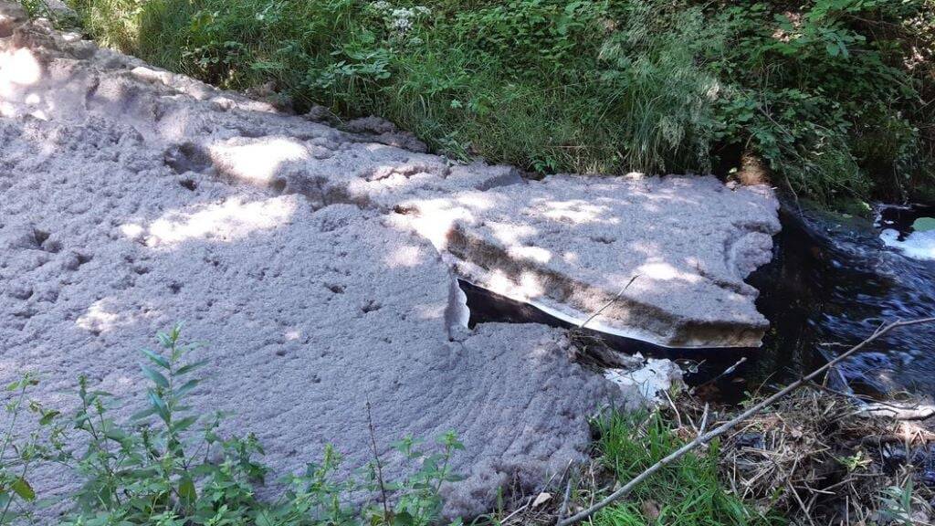 Bei der Bekämpfung des Brandes in der Holzverarbeitungsfabrik Swiss Krono in Menznau im 
August 2023 gelangte Löschwasser in Gewässer.