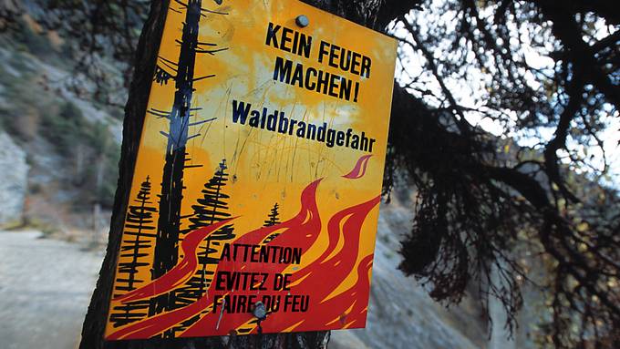 Zu trocken: Im Kanton Zürich herrscht erhebliche Waldbrandgefahr