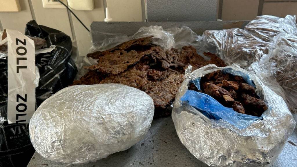 Zöllner fanden bei zwei Männern, die aus der Schweiz nach Deutschland einreisten, in Plastiktüten und Alufolie eingepacktes Rindfleisch. Es war halbgetrocknet und ungekühlt.