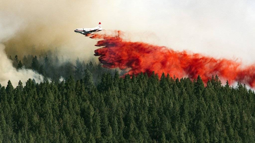 Löschflugzeuge sollen die Brände im westlichen US-Bundesstaat Washington eindämmen, hier bei Spokane. Hunderte Menschen verliessen bereits ihre Häuser.
