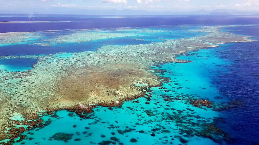 Das Great Barrier Reef an der Ostküste Australiens ist das mit Abstand grösste Korallenriff der Erde. (Archivbild)