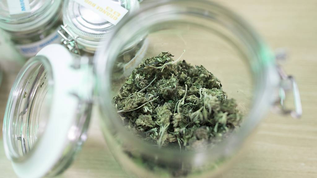 Rund 1200 Personen können seit Dienstag in Zürich legal Gras und andere Cannabisprodukte kaufen. (Symbolbild)