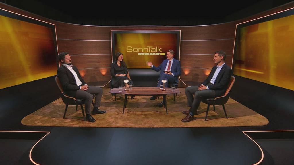 Israel im Krieg, Ukraineflüchtlinge, Halbierungsinitiative: Die Themen im SonnTalk