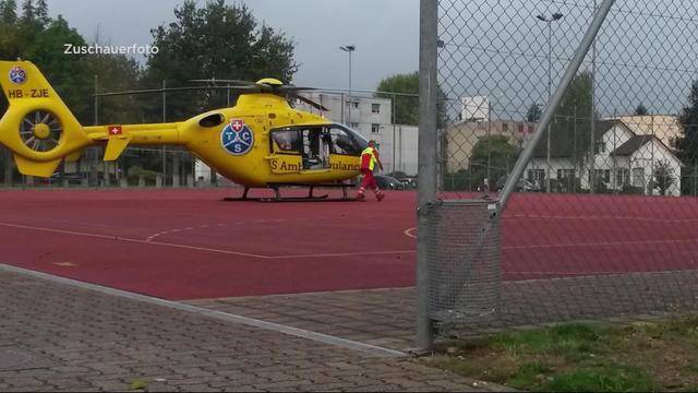 Grosse Aufregung in Kleindöttingen