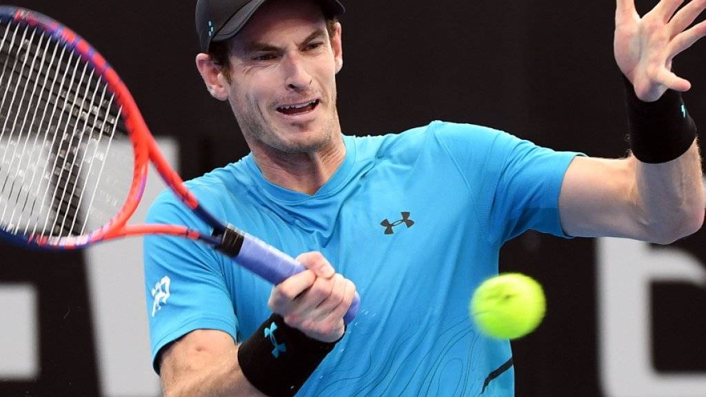 Andy Murray während des Ersrundenspiels in brisbane gegen den Australier James Duckworth