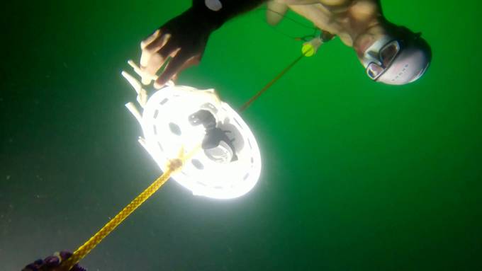 Weltrekord: Freediver taucht 52 Meter tief in den Silsersee