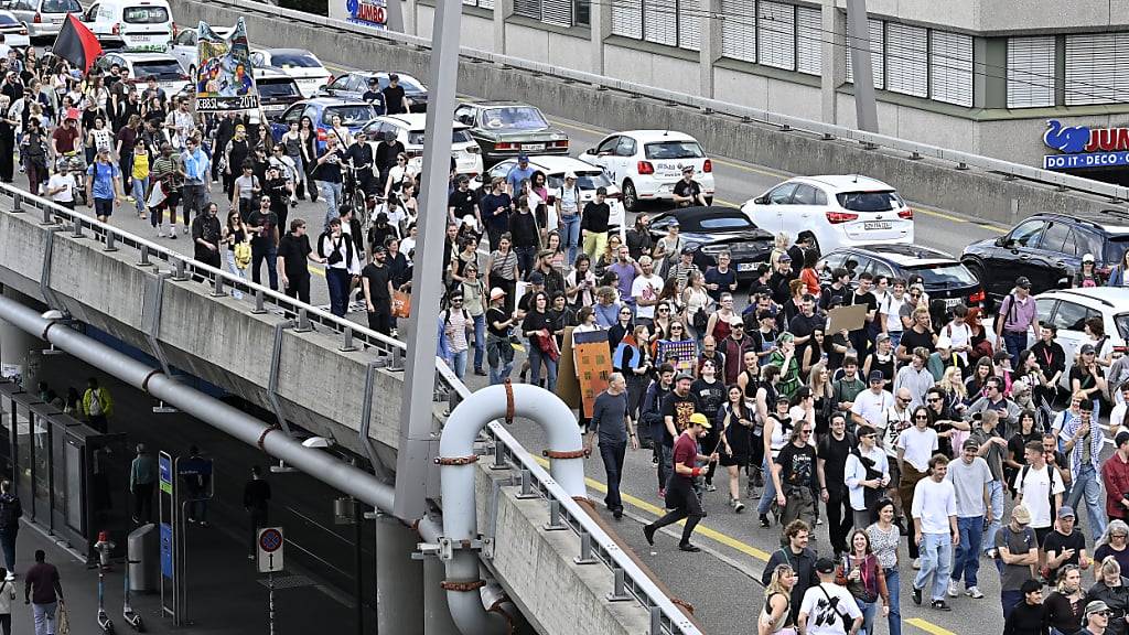 Die Demonstration führte über die Hardbrücke.