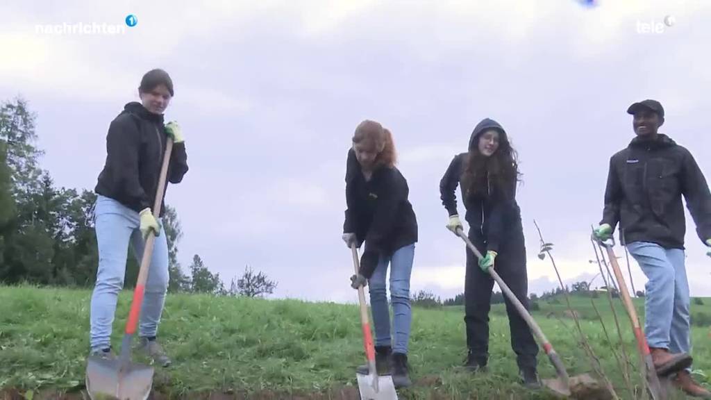 Schüler helfen auf dem Bauernhof