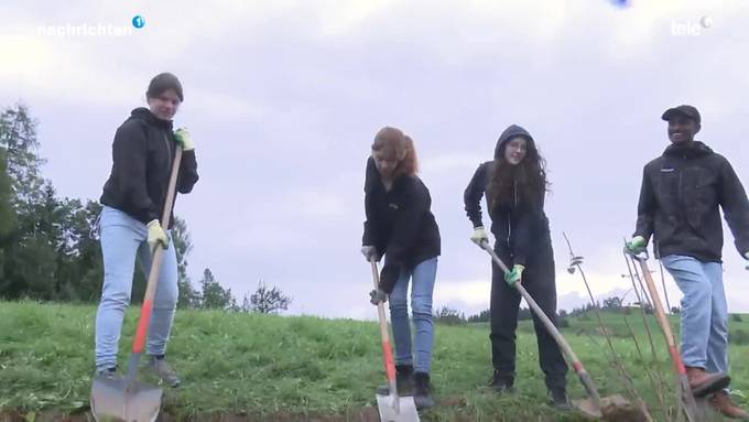 Schüler helfen auf dem Bauernhof