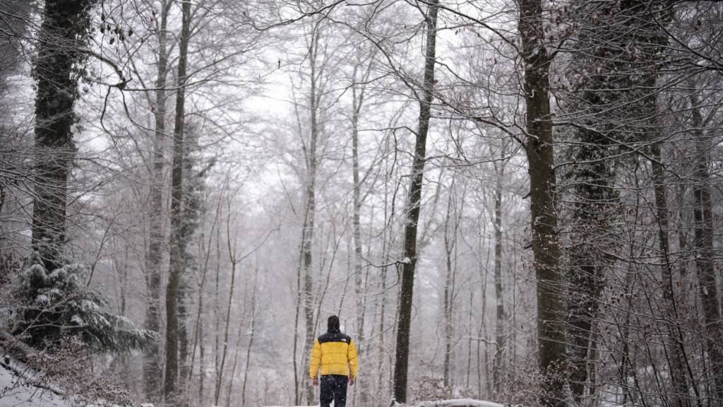 Waldspaziergang statt Wellness: Wie Naturerlebnisse unser Körperbild stärken und letztlich die Zufriedenheit erhöhen. (Archivbild)