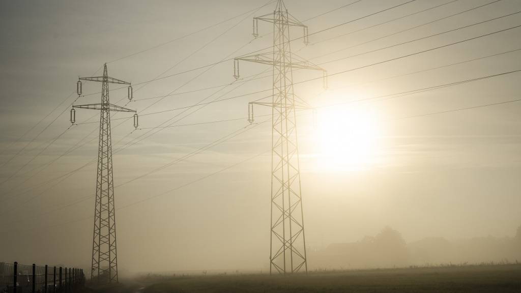 Die Modernisierung der Energiecharta hat es schwer