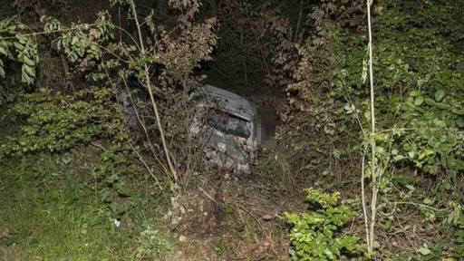 Autofahrer stirbt bei Selbstunfall im Wald bei Winistorf SO