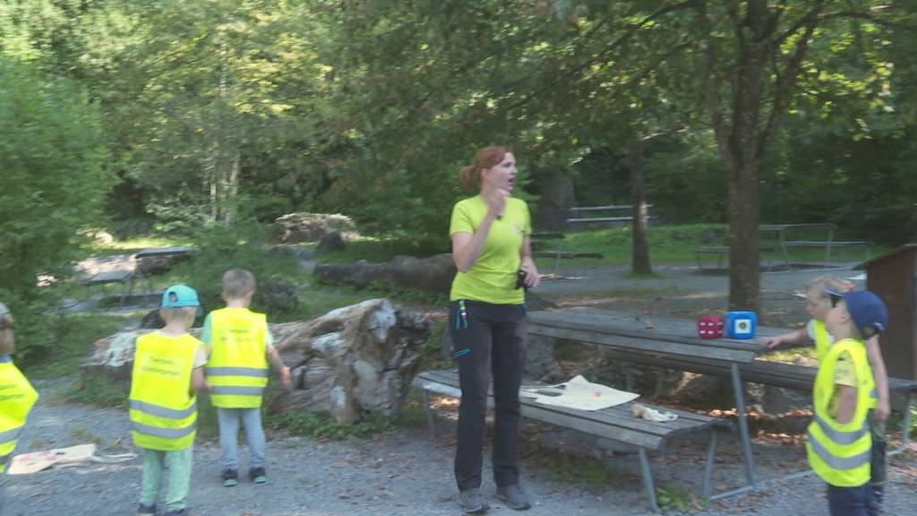 Kindergarten im Tierpark