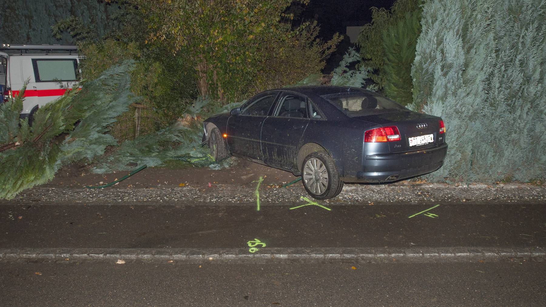 Der beschädigte Audi landete in einem Gebüsch. Bild: Kapo TG