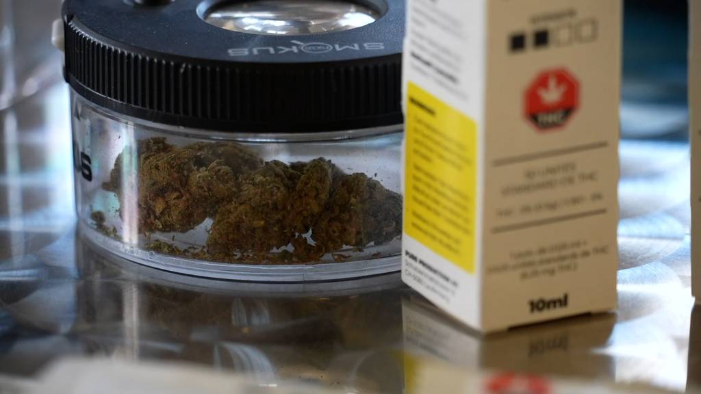 Apothekenverkauf senkt laut Studie die Risiken beim Cannabiskonsum