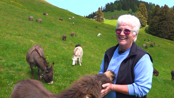 Maya und ihre 72 Esel auf der Alp
