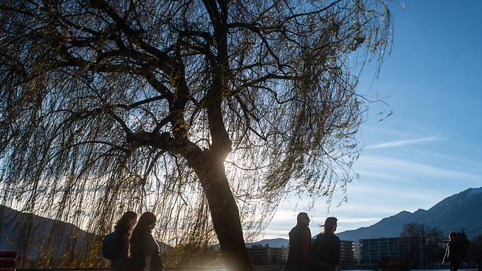 Über 22 Grad in Locarno an Weihnachten und Rekordschnee in den Bergen