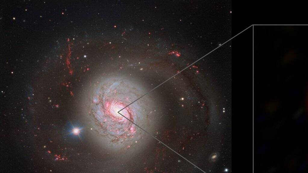Blick auf die Galaxie «Messier 77», in deren Zentrum sich ein «aktiver Galaxienkern» befindet.