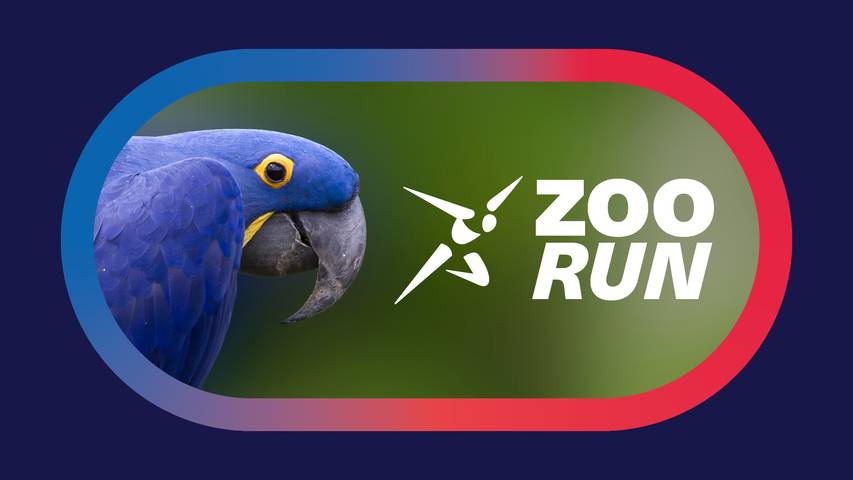 Weltklasse Zürich Zoo Run 