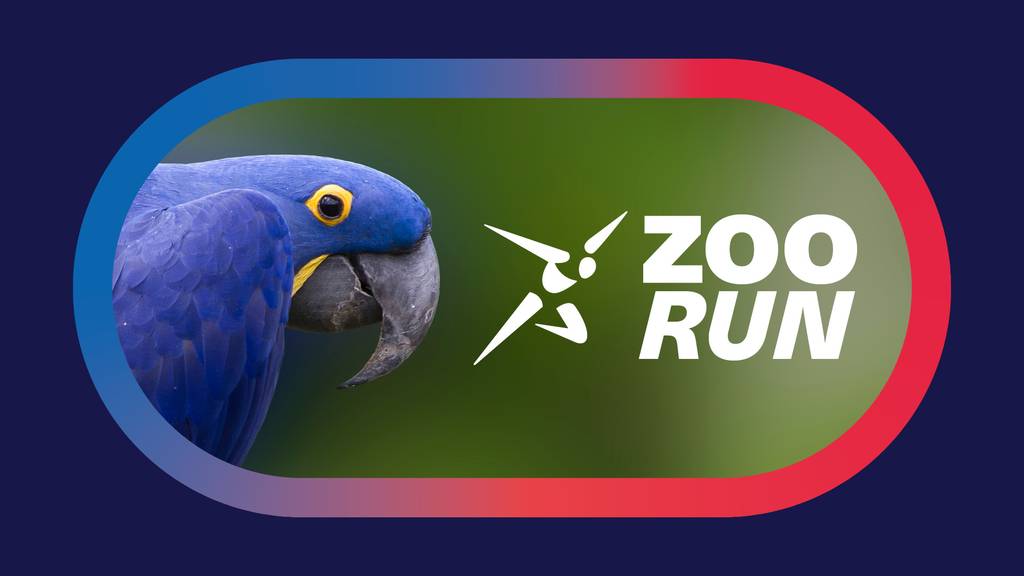 Weltklasse Zürich Zoo Run 