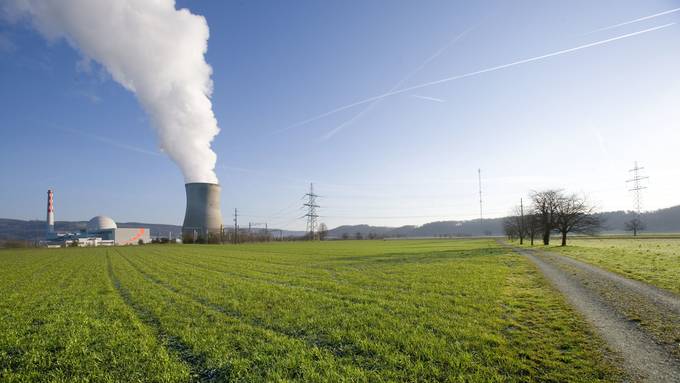 Kernkraftwerk Leibstadt wird für fünf Monate vom Netz genommen