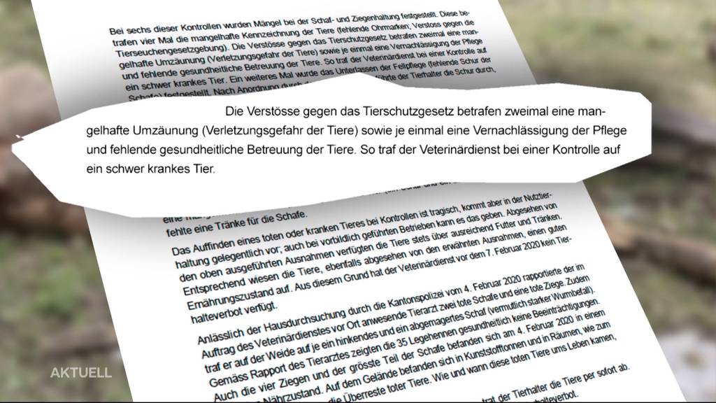 Regierungsrat nimmt in 3-seitigem Brief Stellung zu Oftringer Tierdrama