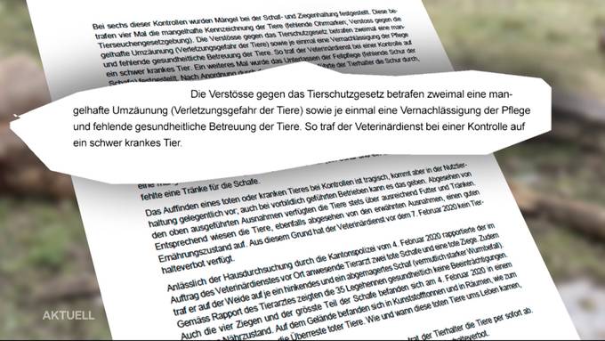 Regierungsrat nimmt in 3-seitigem Brief Stellung zu Oftringer Tierdrama