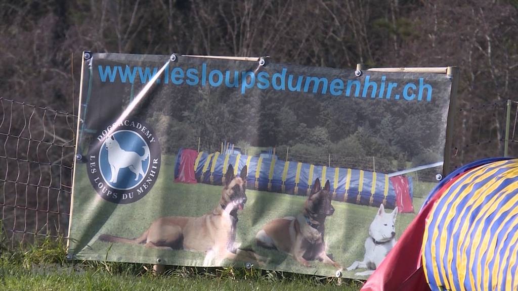 Das sagen Experten zur tödlichen Hundeattacke in Auboranges