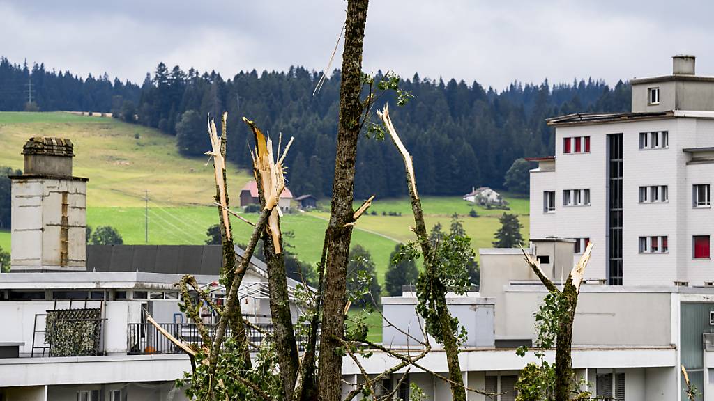 Beim verheerenden Unwetter vom Juli in La Chaux-de-Fonds wurden rund 1500 Bäume umgeknickt oder entwurzelt. Die Partnerstadt Winterthur spendet nun 150'000 Franken, das reicht für 100 neue Bäume. (Archivbild)