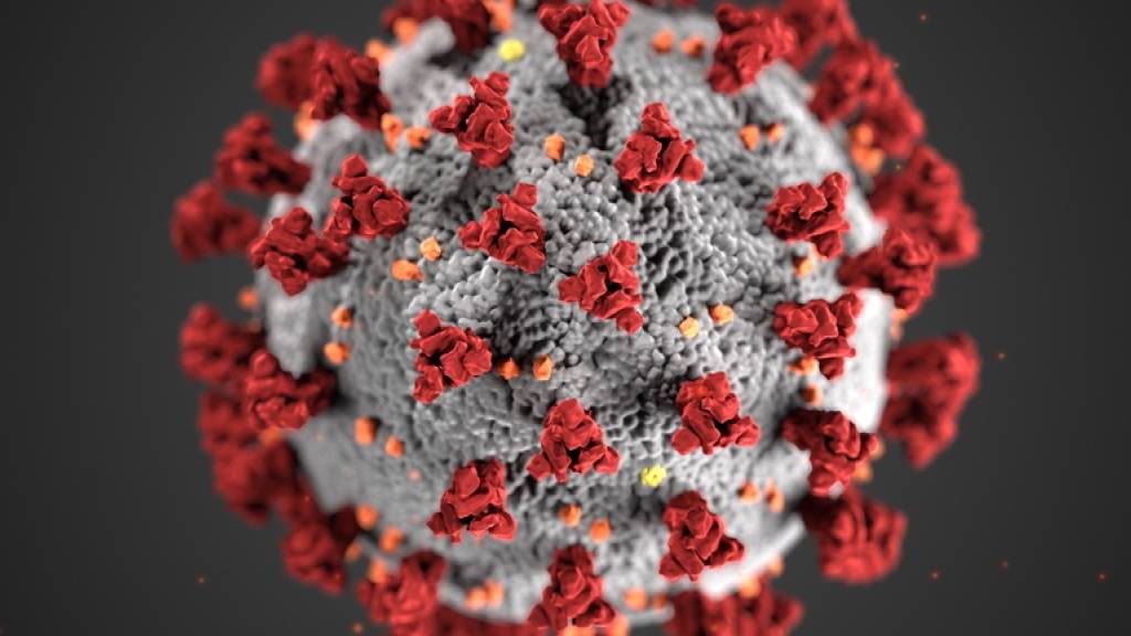 Weltweit haben sich fast 330'000 Menschen mit dem Coronavirus infiziert. Knapp 14'400 starben bisher aufgrund der durch das Virus verursachten Lungenkrankheit Covid-19.