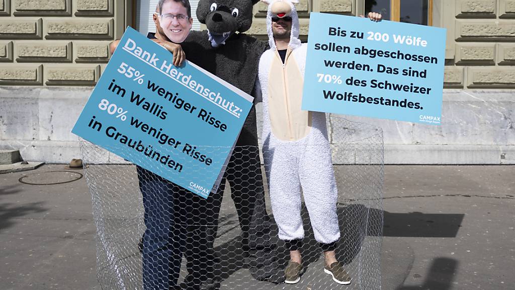 Die Kampagnenorganisation Campax hat am Donnerstag bei der Bundeskanzlei eine Petition mit über 48'000 Unterschriften gegen Wolf-Abschusspläne des Bundes eingereicht.