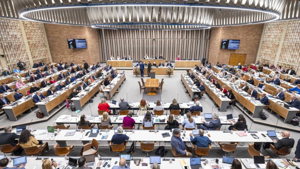 Der Zürcher Kantonsrat will Hausbesitzern helfen. Sie sollen grössere Pergolen in ihren Gärten ohne Bewilligung aufstellen können. (Archivbild)