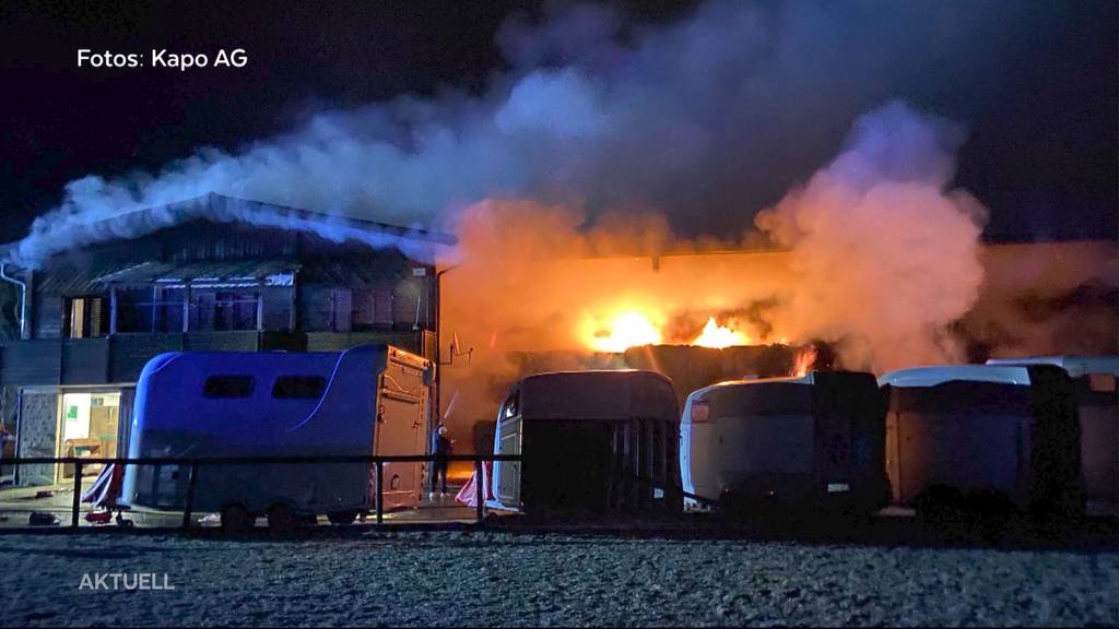 32 Pferde in Würenlos vor Grossbrand gerettet