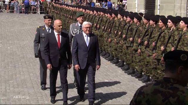 «Roter Teppich» für Frank-Walter Steinmeier