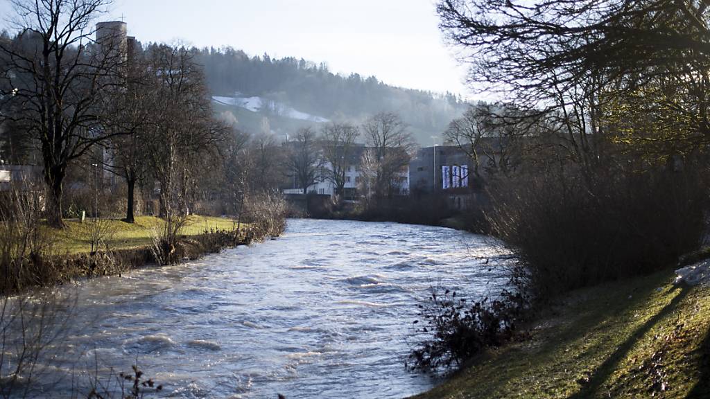 Das Flussbett der Thur soll bei Wattwil verbreitert werden. Ziel ist eine Verbesserung der Hochwassersicherheit. (Archivbild)