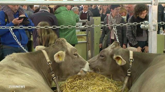 Bauern würden Flüchtlinge anstellen