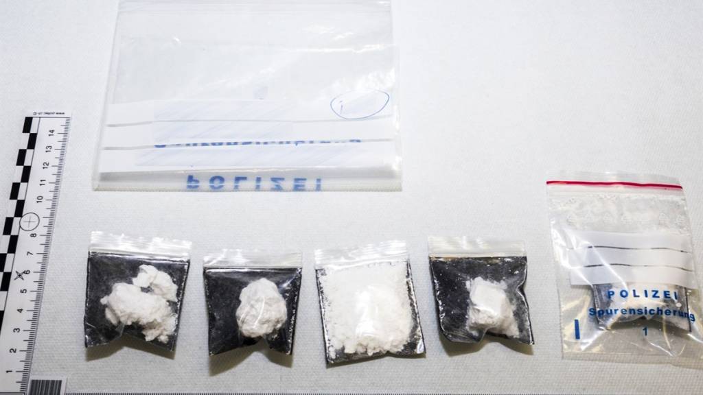 Die Kantonspolizei Graubünden hat bei fünf Kokaindealern fast ein viertel Kilogramm des weissen Pulvers sichergestellt.