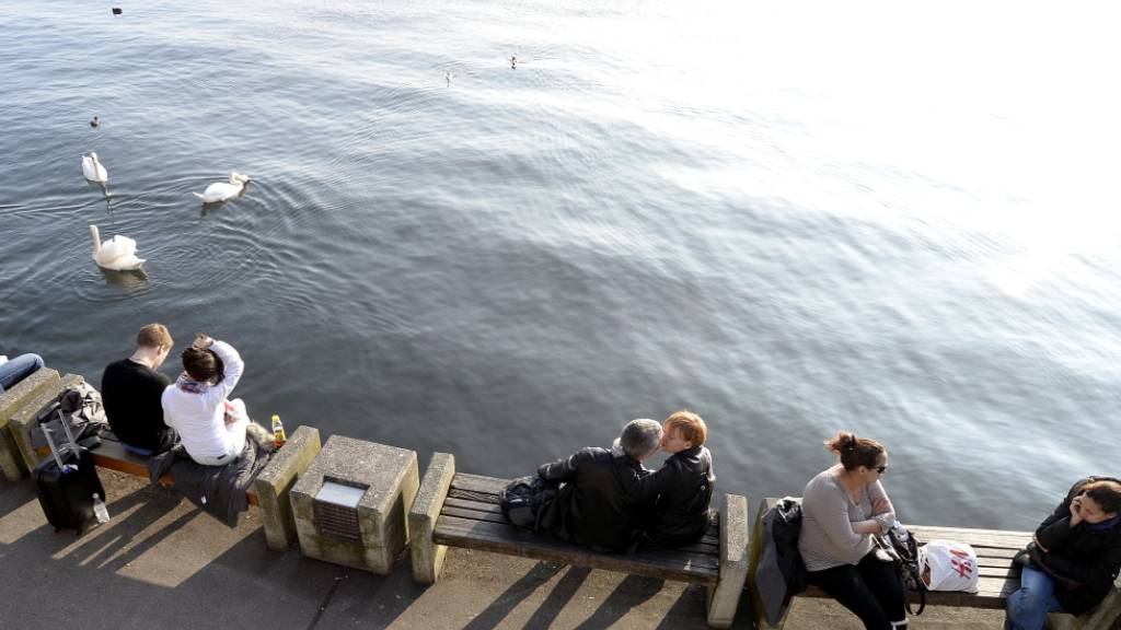 Zürcher Linke wollen im Seebecken Insel für Vögel aufschütten