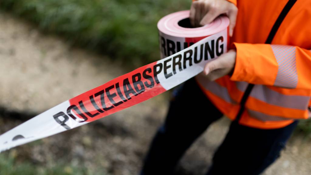 Im Raum steht ein Tötungsdelikt: Die Kantonspolizei Thurgau durchsuchte eine Liegenschaft in Engwang TG. (Symbolbild)