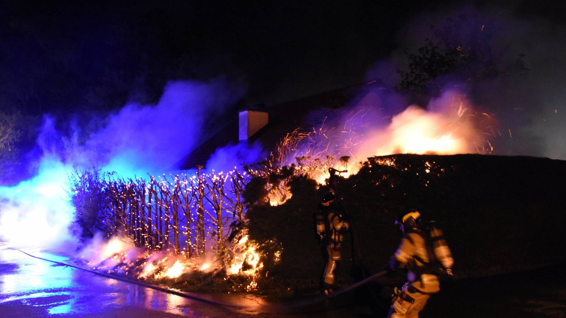 Ein Opfer der Flammen: Die abgebrannte Thuja-Hecke in Staad.