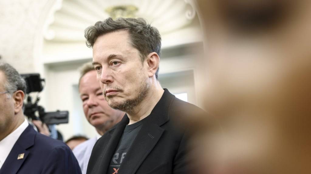 Elon Musk war die treibende Kraft hinter der Regierungsabteilung für staatliche Effizienz (Doge) und trieb einen massiven Kosten- und Personalabbau im US-Staatsapparat voran. (Archivbild)