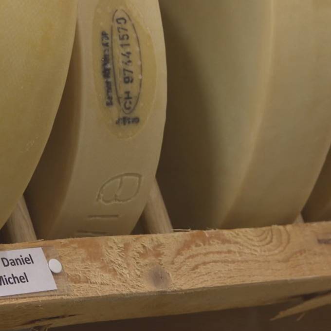 Dieser Alpkäse aus Gstaad schmeckt wie «Emmentaler»